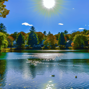 Nutting Lake Billerica MA Local Plumbing and Drain Cleaning Contractor - Find the Best Emergency Plumber in Nutting Lake Billerica MA